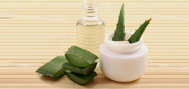 Aloe Vera Mucizesi ile Güzelleşin
