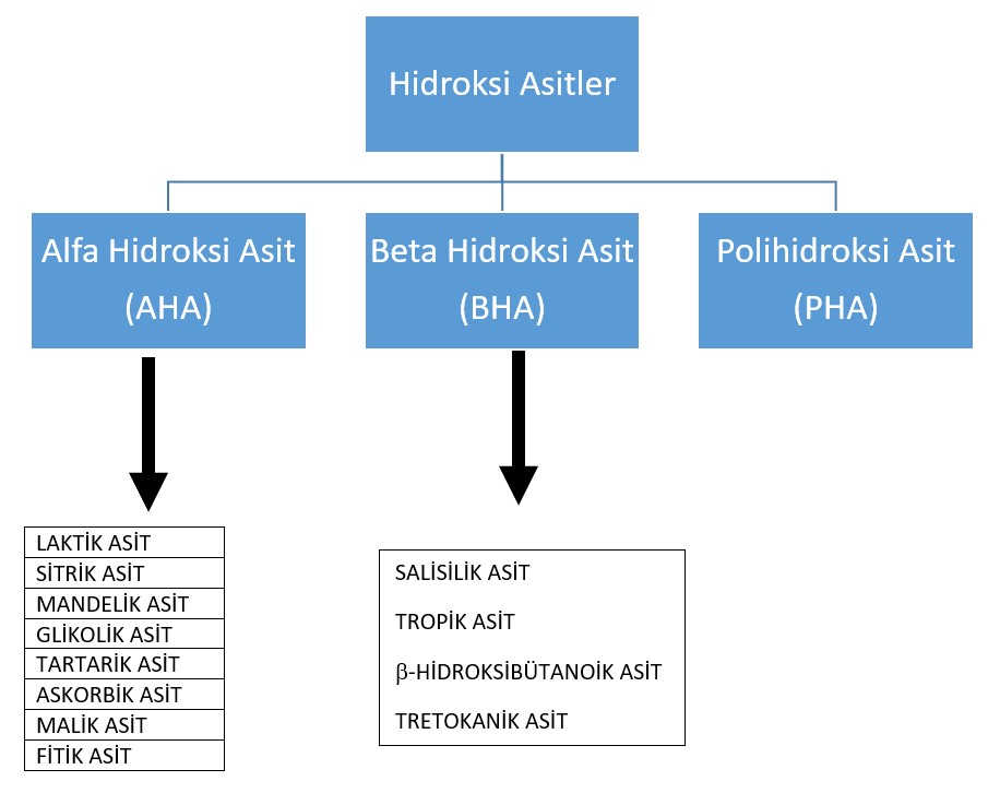 Hidroksi Asitler