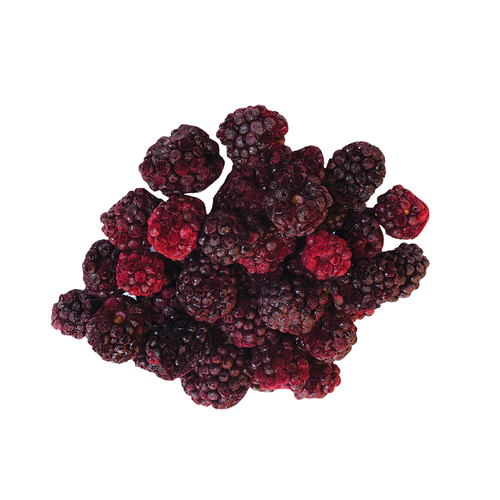 Little Crunchies Freeze Dried Böğürtlen 20 gr - Little Crunchies (1)